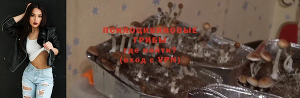 ГАЛЛЮЦИНОГЕННЫЕ ГРИБЫ Алексеевка