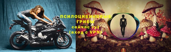 ГАЛЛЮЦИНОГЕННЫЕ ГРИБЫ Алексеевка