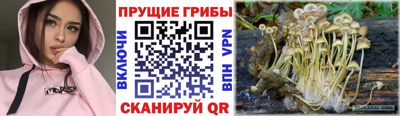 hydra как войти Шиханы Псилоцибиновые грибы GOLDEN TEACHER